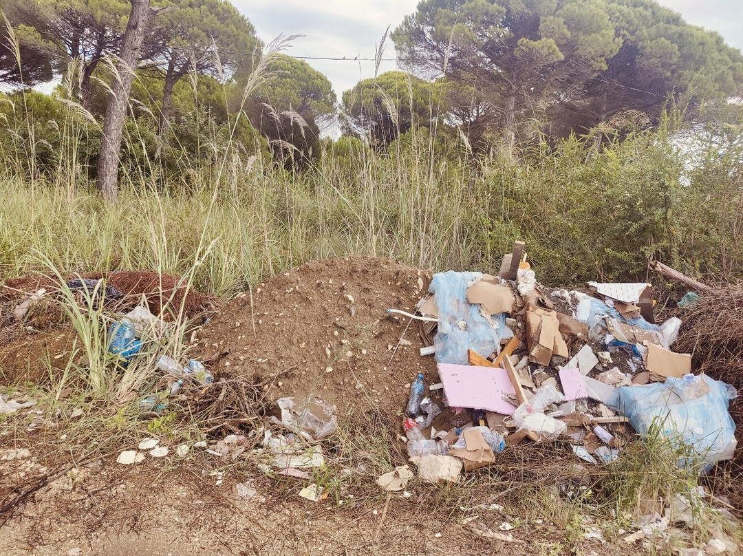 Elite Bay Hotel Lalez Durres主图