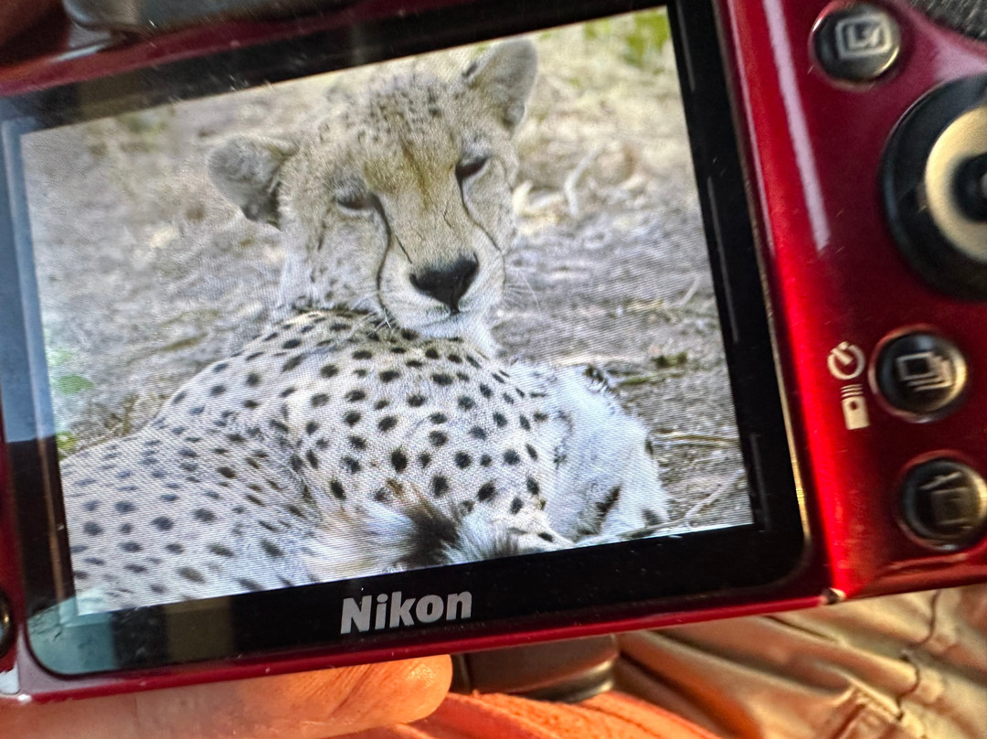 Unzip Africa-坎帕拉必去景点