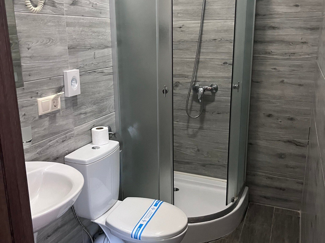 Centralnyi Hotel主图