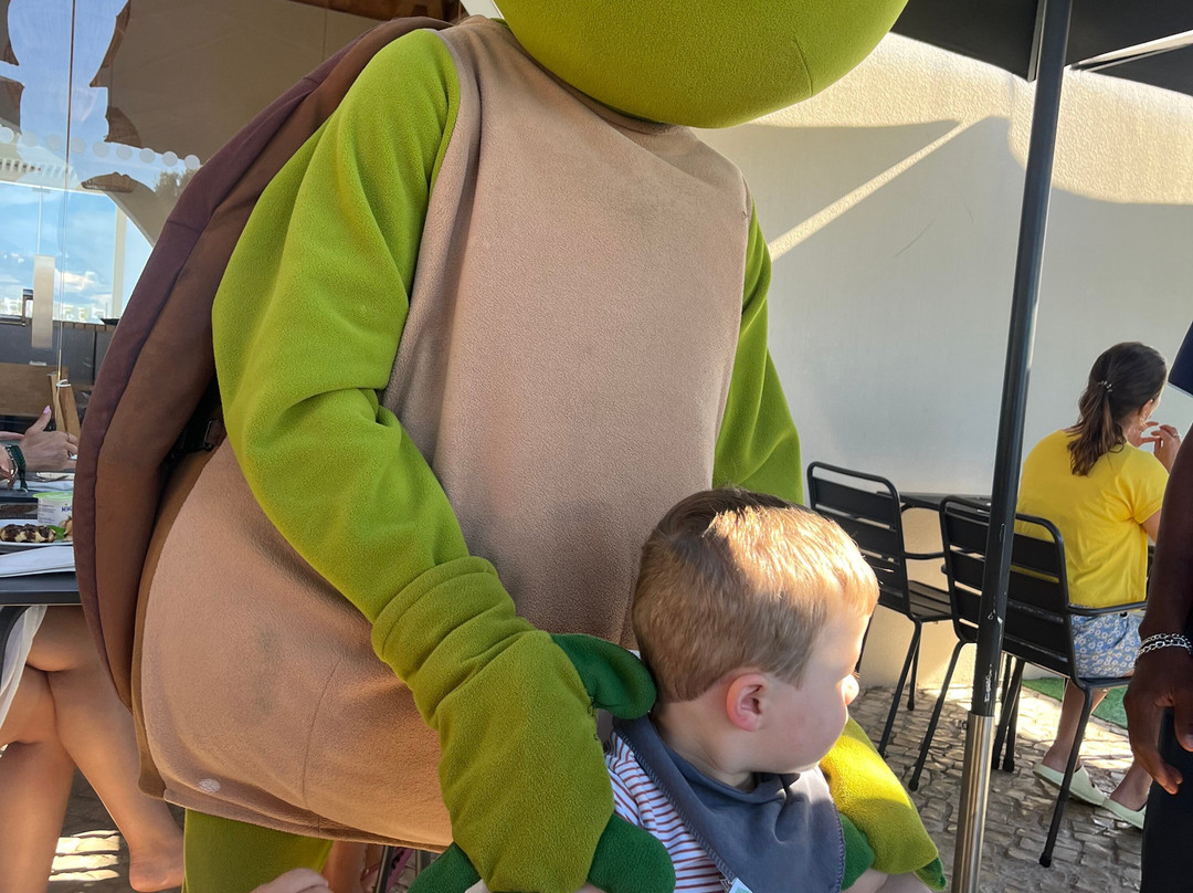 Eden Villas And Apartments主图