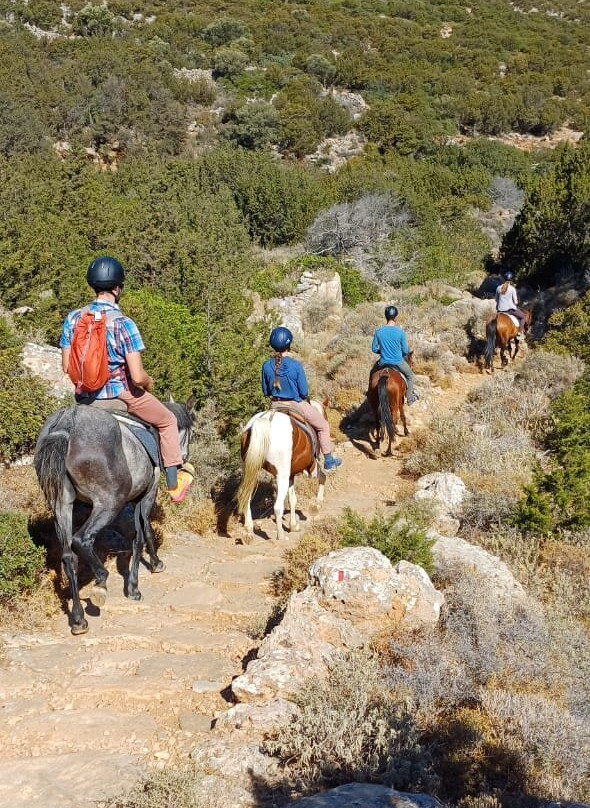 Sifnos Horseriding景点图片
