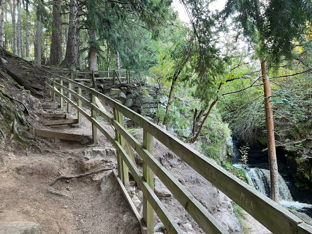 The Linn Falls-阿伯劳尔必去景点