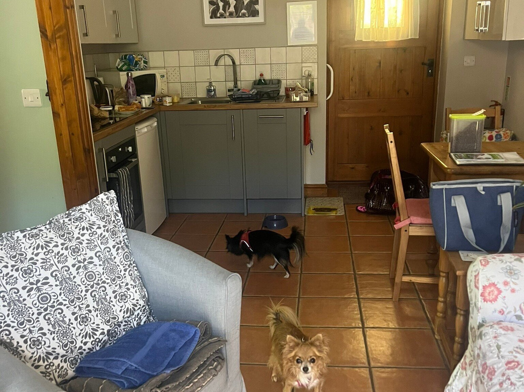 Mereside Farm Quality Accommodation主图