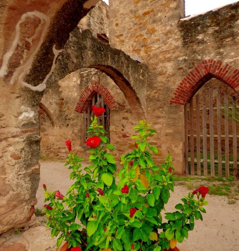 Food Chick Tours-圣安东尼奥市必去景点