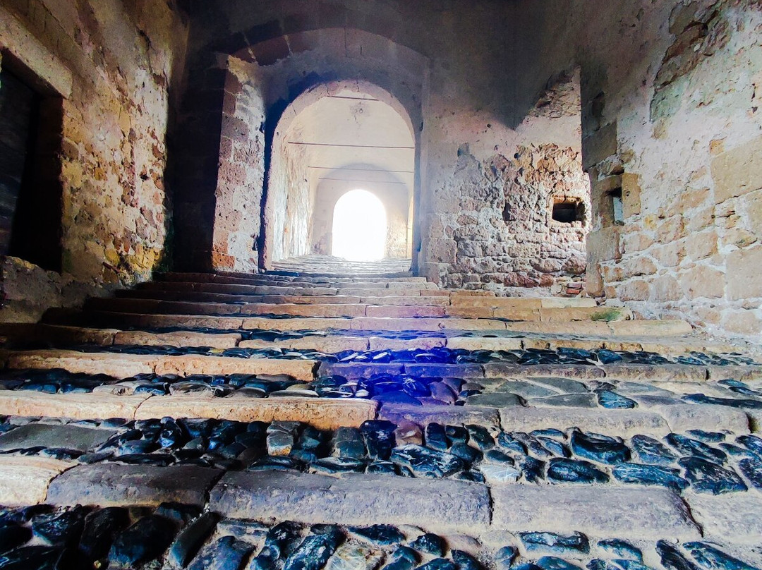 Parco Archeologico Citta del Tufo景点图片