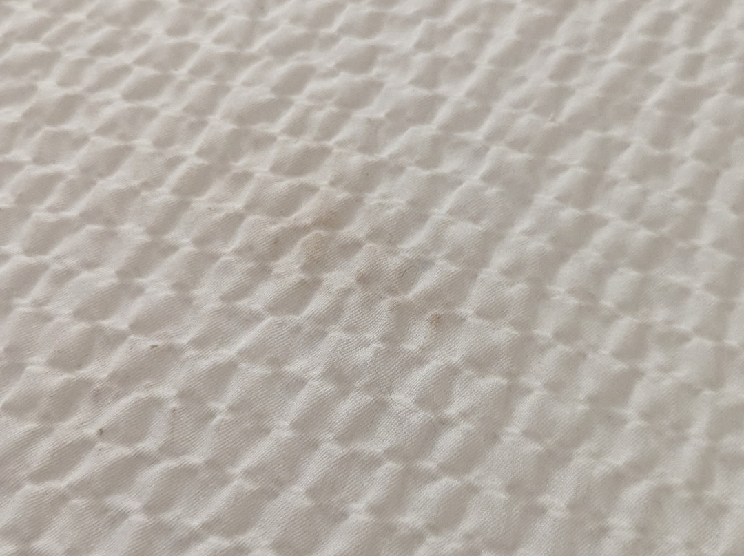 Best Western Crown Inn & Suites主图