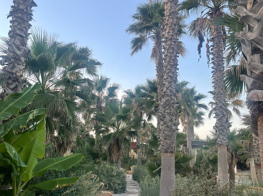 Playa Tropical景点图片
