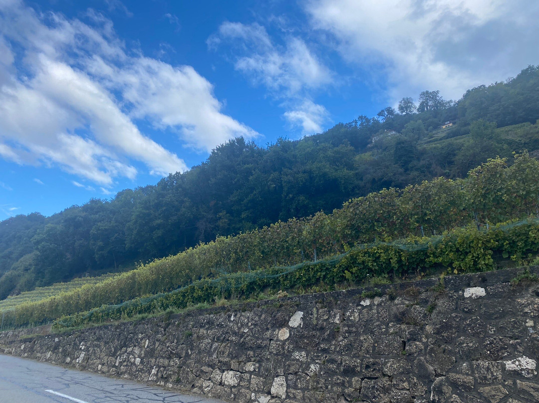 Maurice Neyroud-Chardonne必去景点