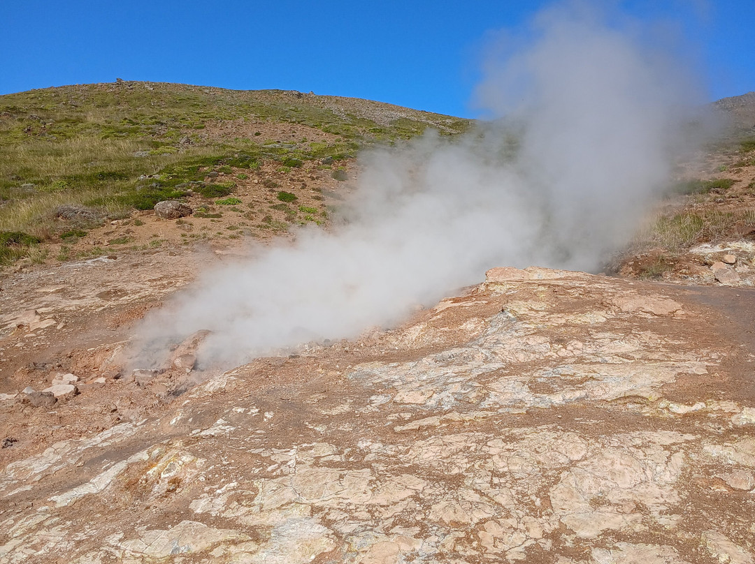 Reykjadalur Hot Springs景点图片