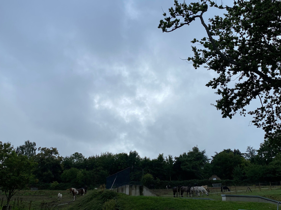 Parc de Port Breton景点图片