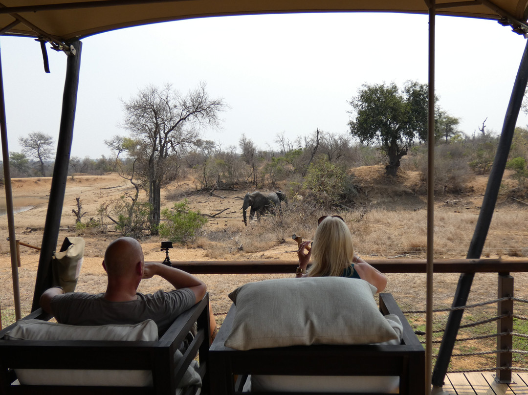 Thabamati Luxury Tented Camp主图