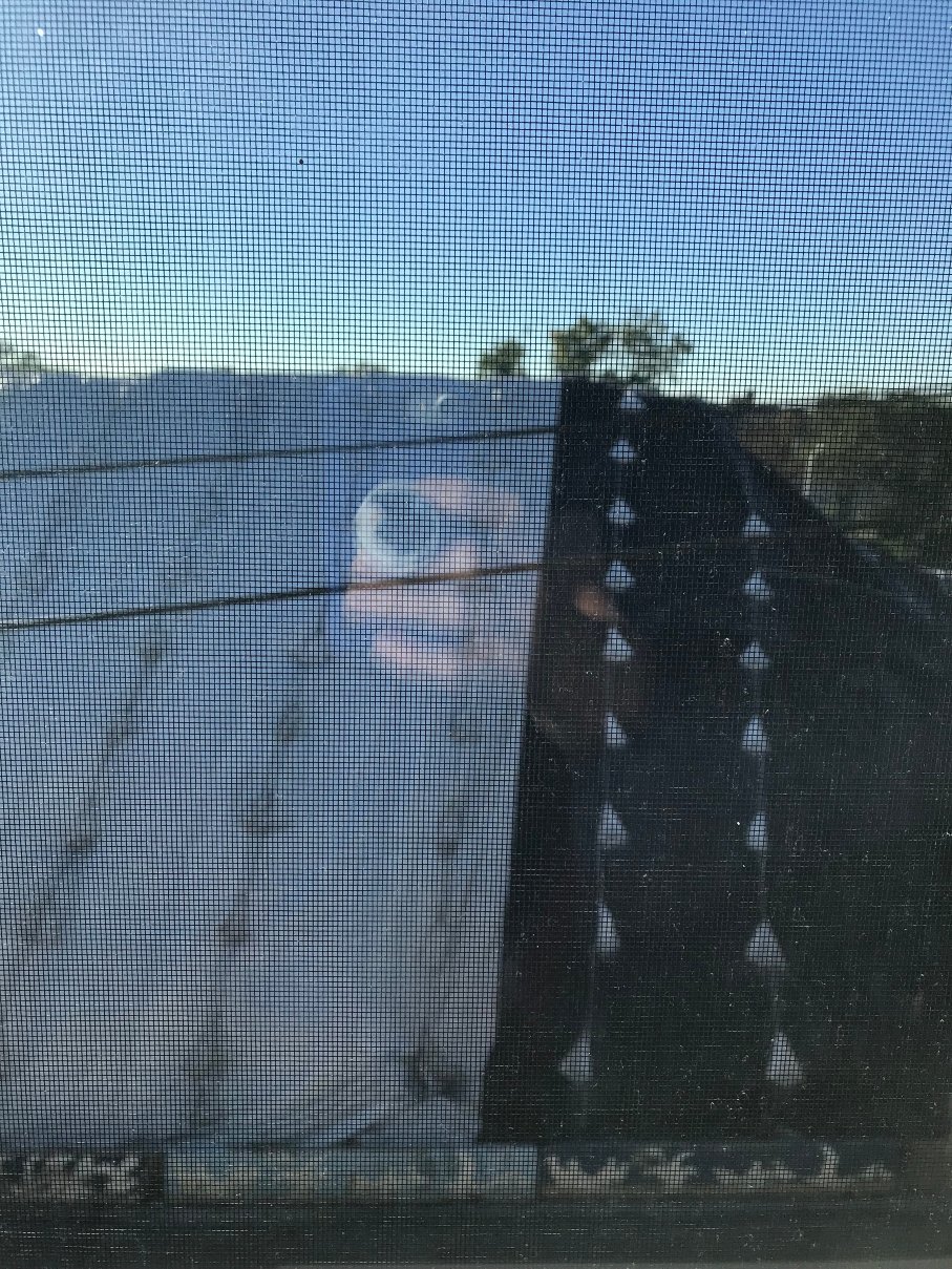 舒适酒店-JFK机场-酒店景观