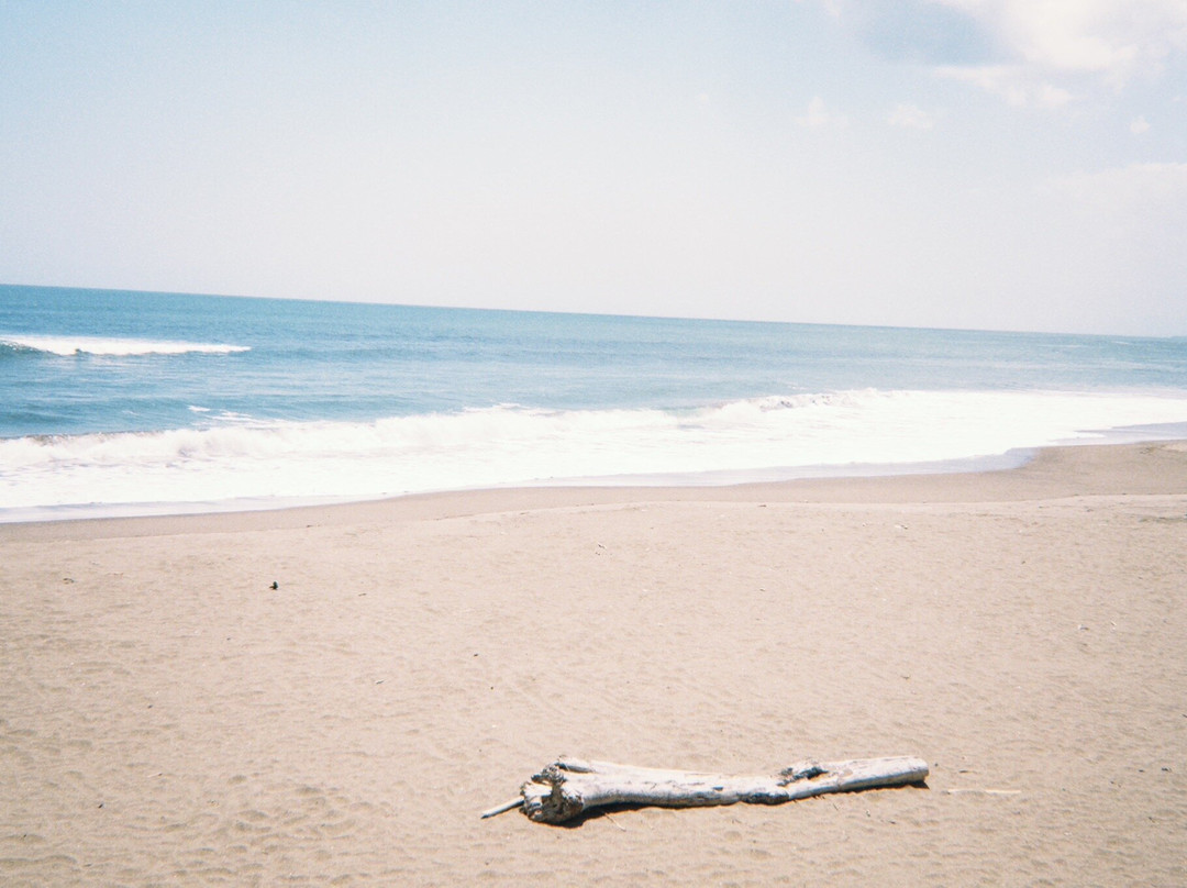 Kedungu Beach景点图片