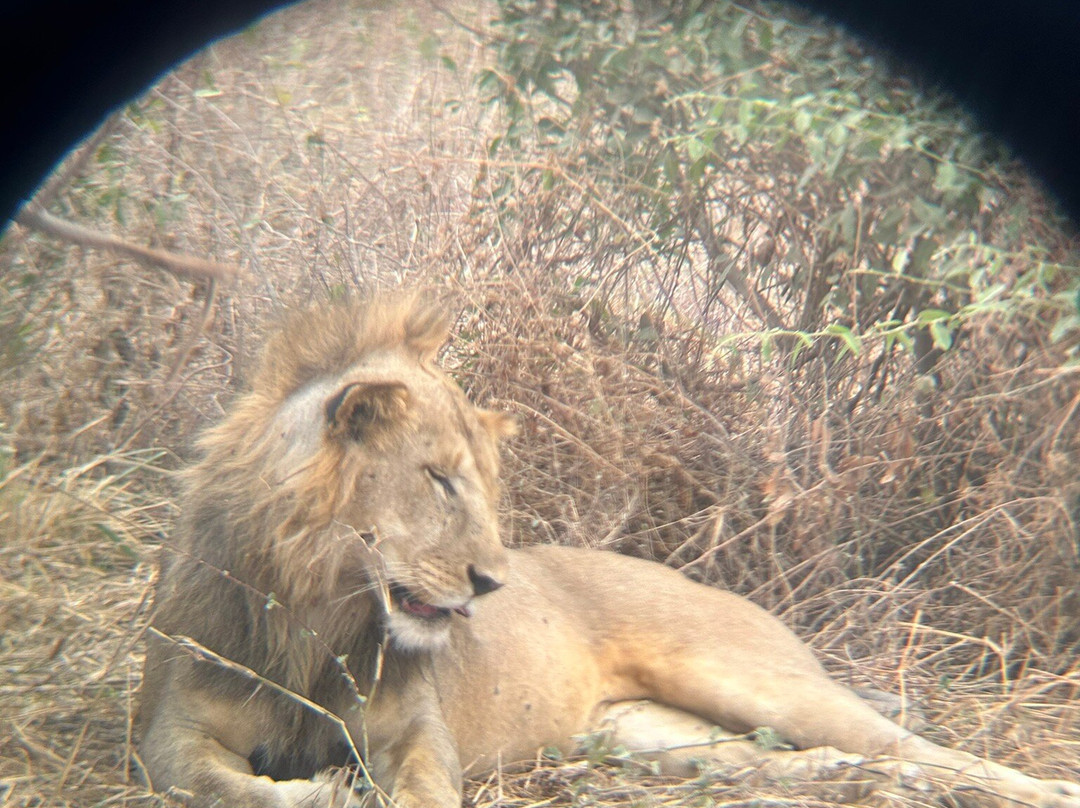 Tanzania Safari Supremacy-塞伦盖蒂国家公园必去景点