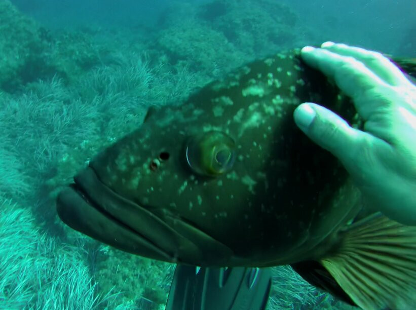 ZOEA Scuba Diving Center-圣庞沙必去景点