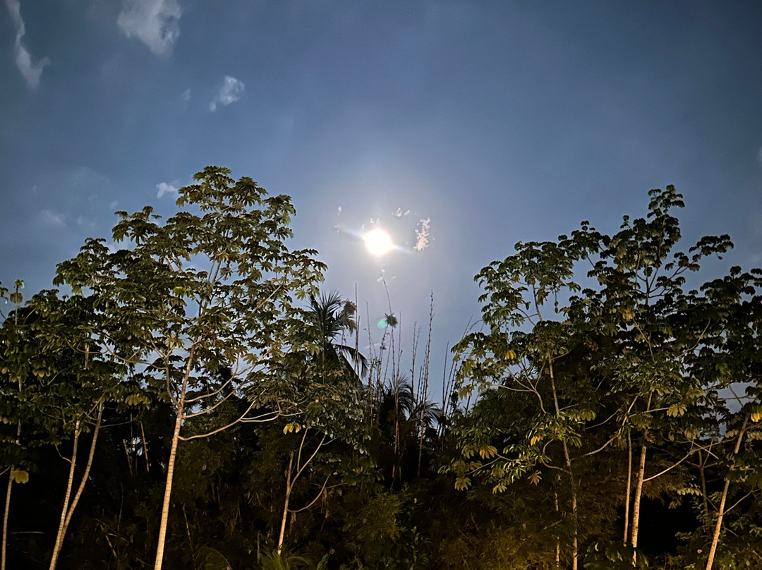 La Pampara En El Laberinto