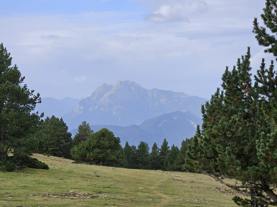 Parc Natural Del Cadí-moixeró景点图片