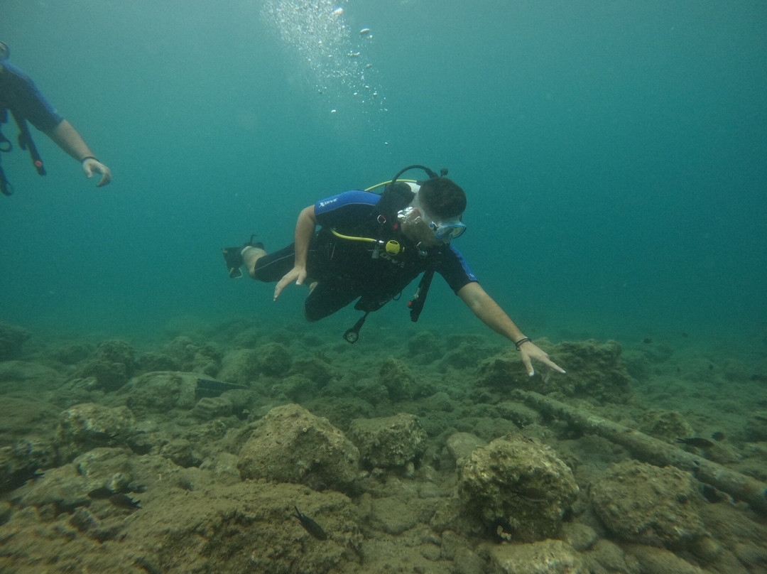 Argonauta Diving Resort景点图片