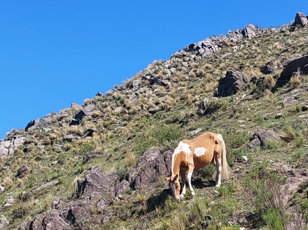 Cerro La Banderita景点图片