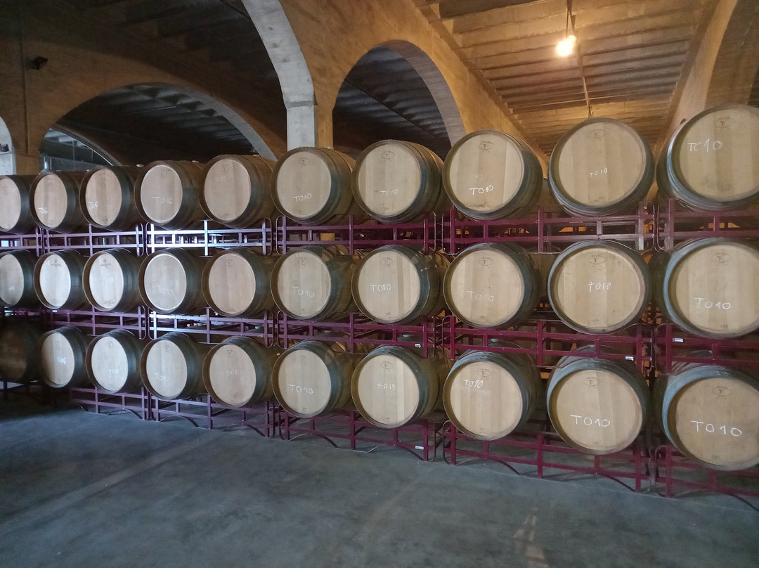 Bodegas San Isidro - B.S.I-Jumilla必去景点