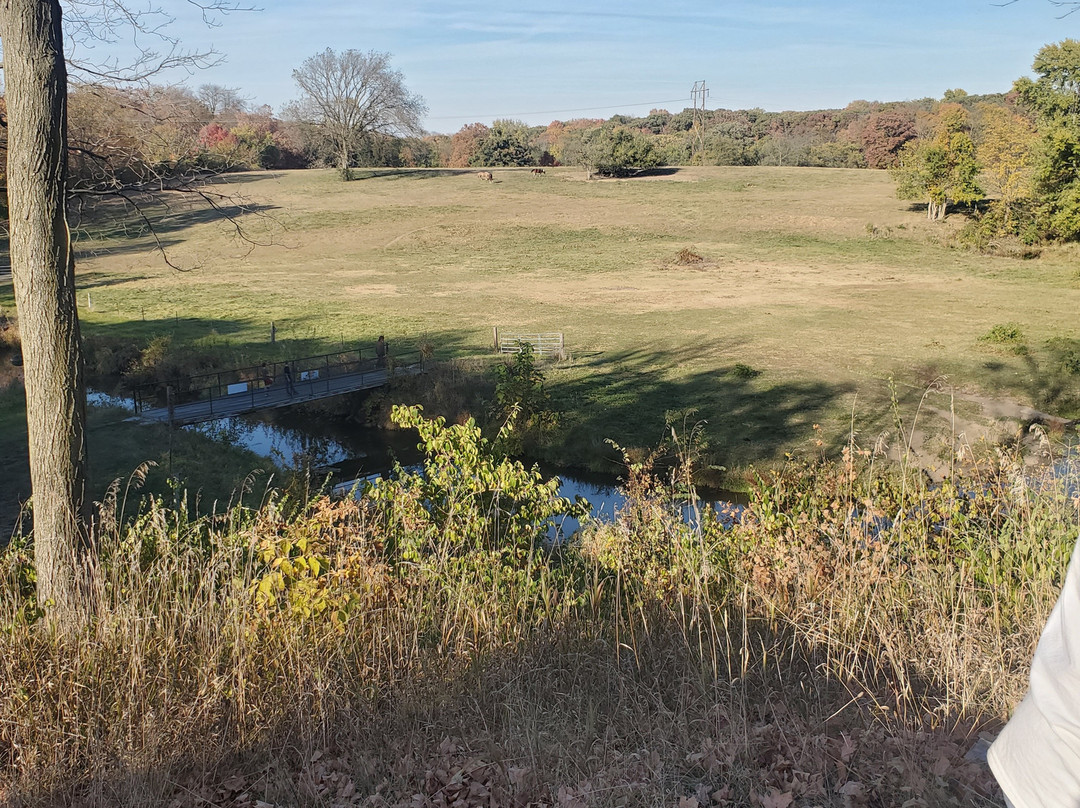 Cedar Creek Ranch景点图片