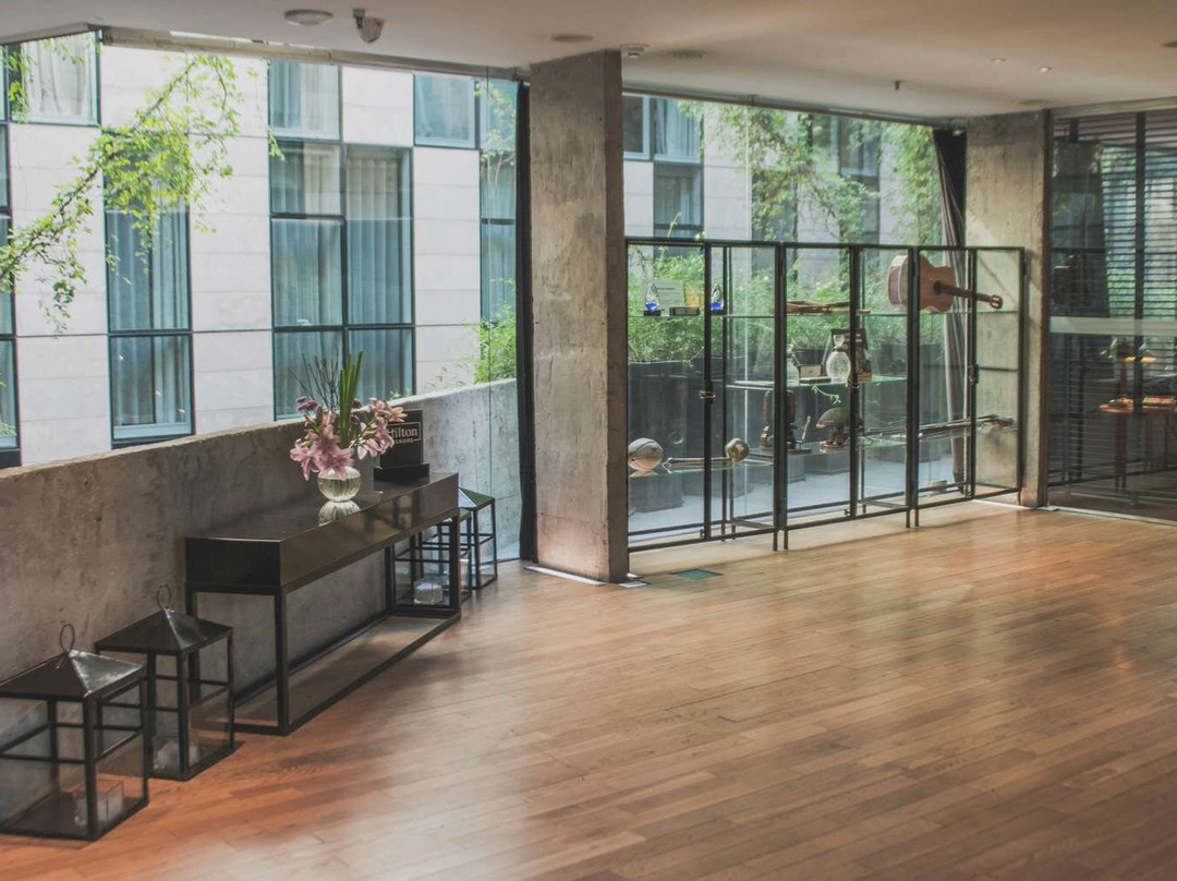 布宜诺斯艾利斯酒店住宿-Anselmo Buenos Aires, Curio Collection by Hilton