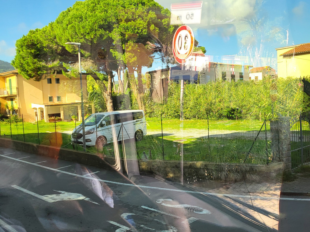 Grifo Tour - Centro Guide in Toscana-比萨必去景点