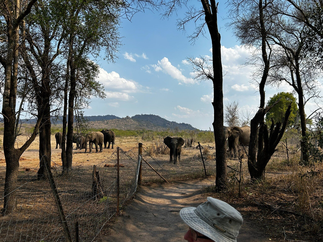 Wolhuter Wilderness Trail-克鲁格国家公园必去景点