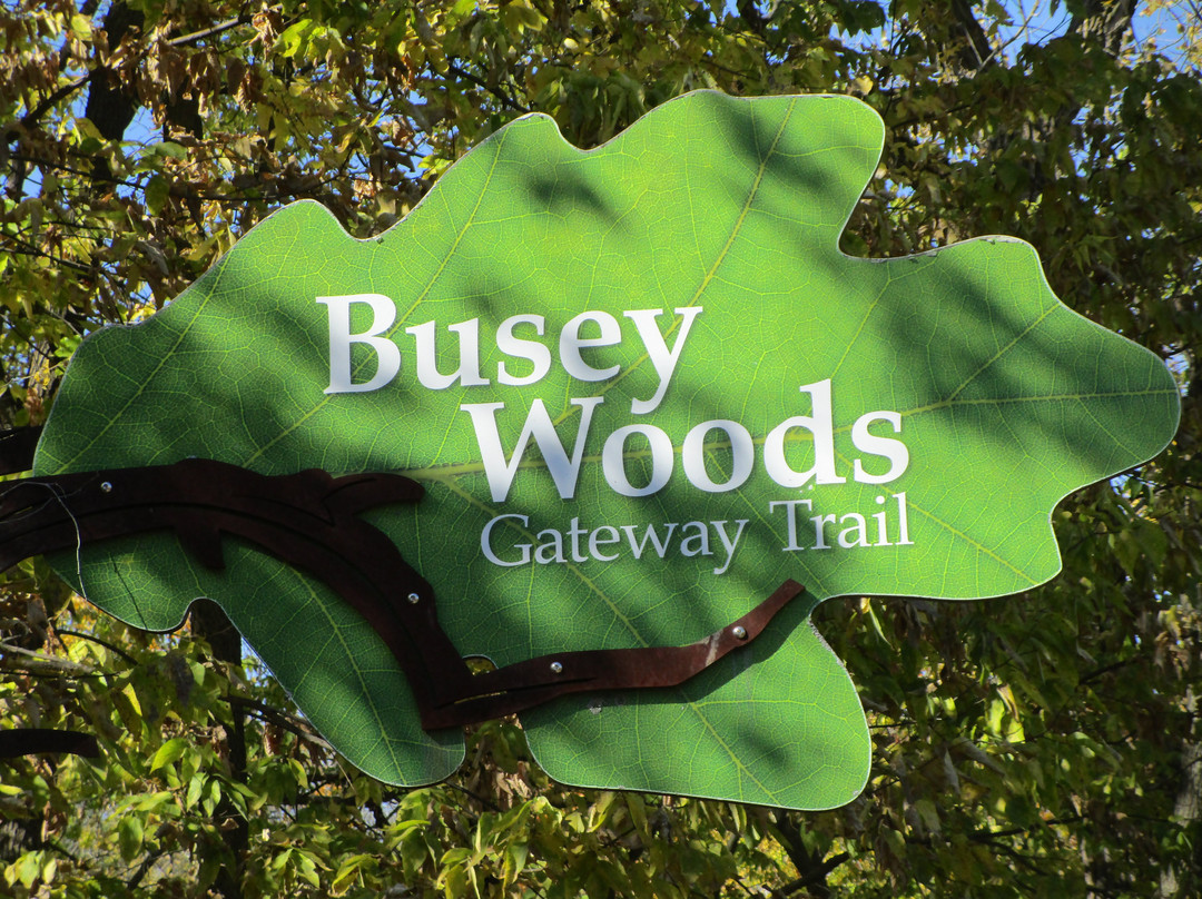 Busey Woods景点图片