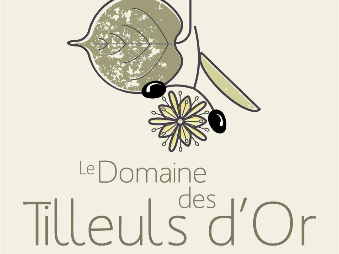Domaine des Tilleuls d'Or