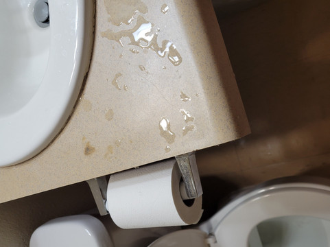 弗里敦伍德斯普林套房酒店主图