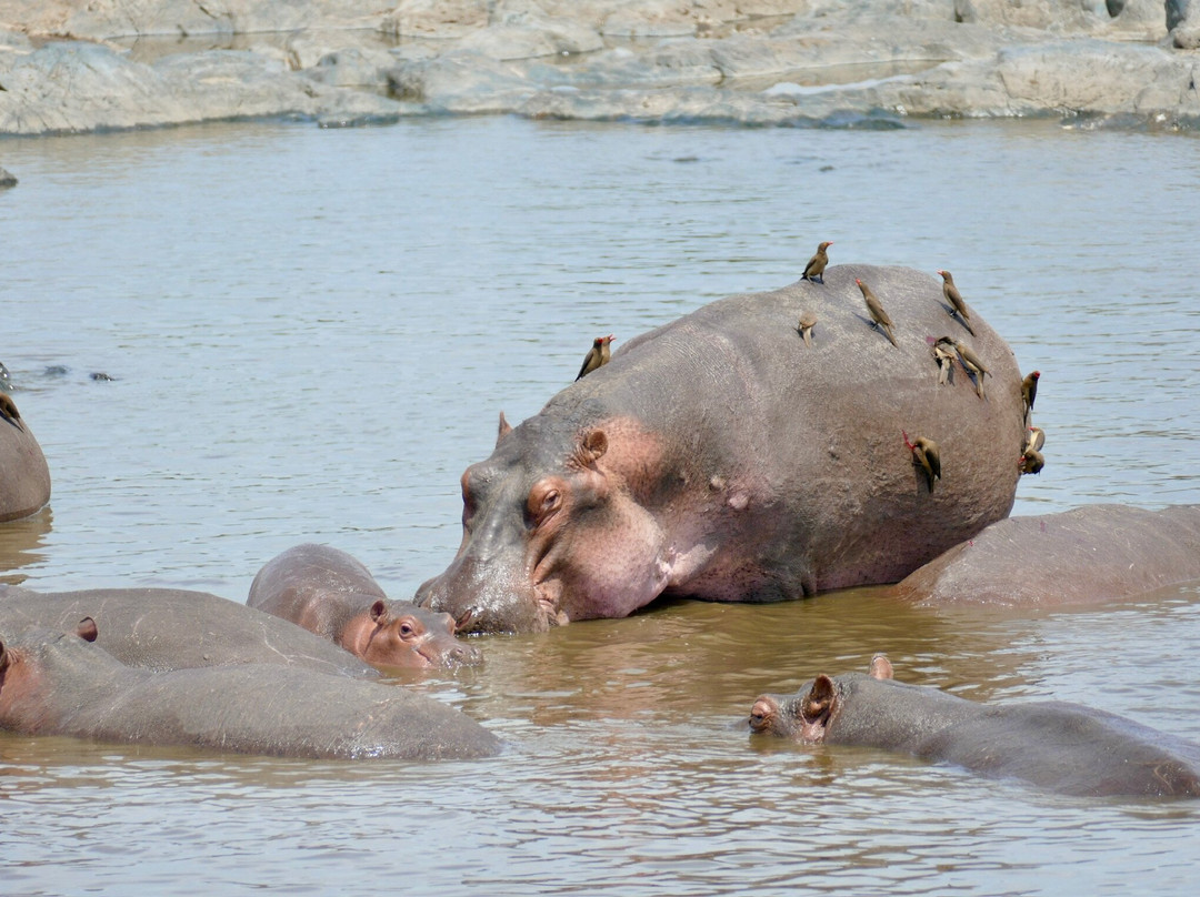Ephraim's Guide Safaris-阿鲁沙必去景点