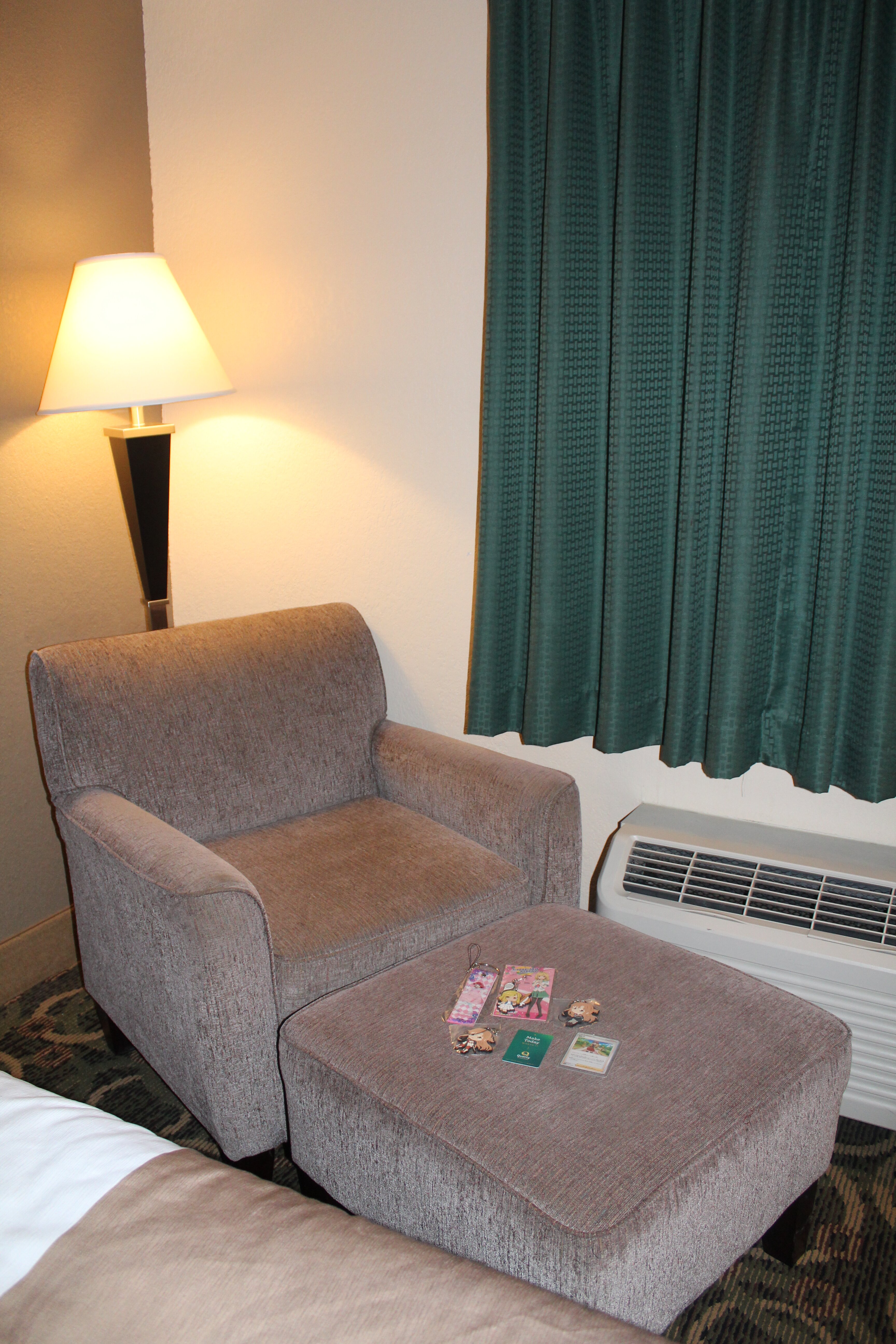 Quality Inn-客卧