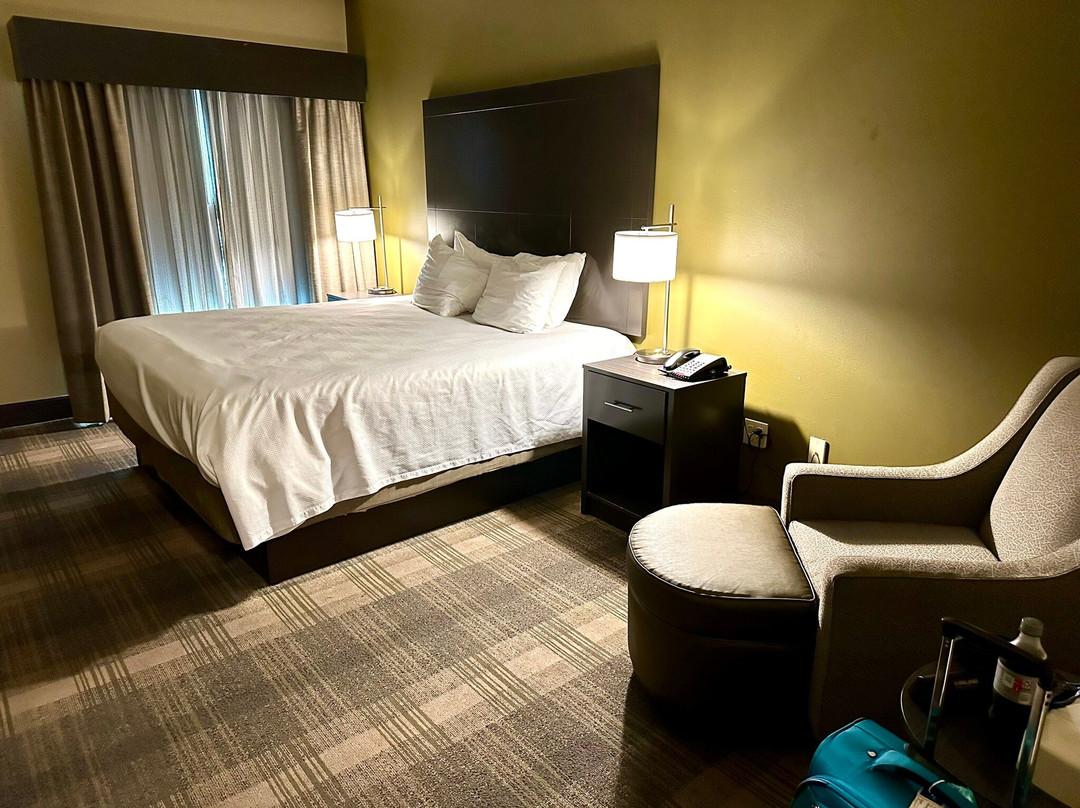 Best Western Plus New Orleans Airport Hotel主图