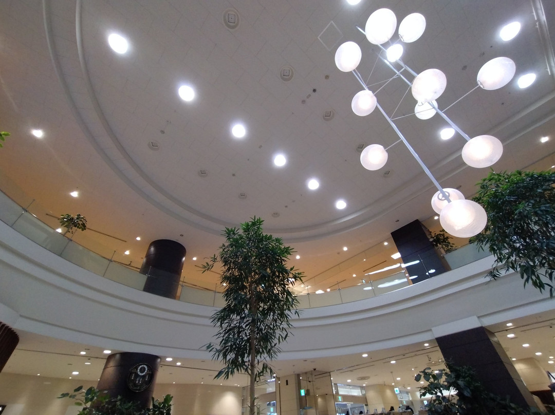 Usui Department Store-郡山市必去景点