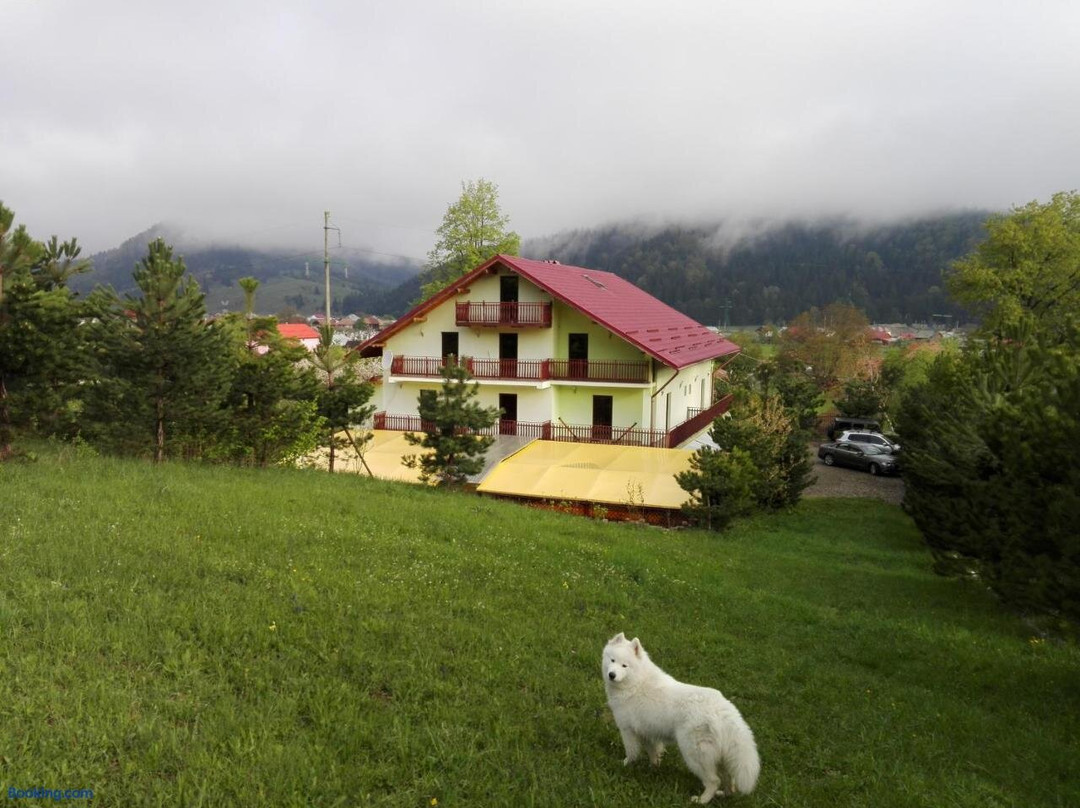 Grandemi Belvedere Bucovina