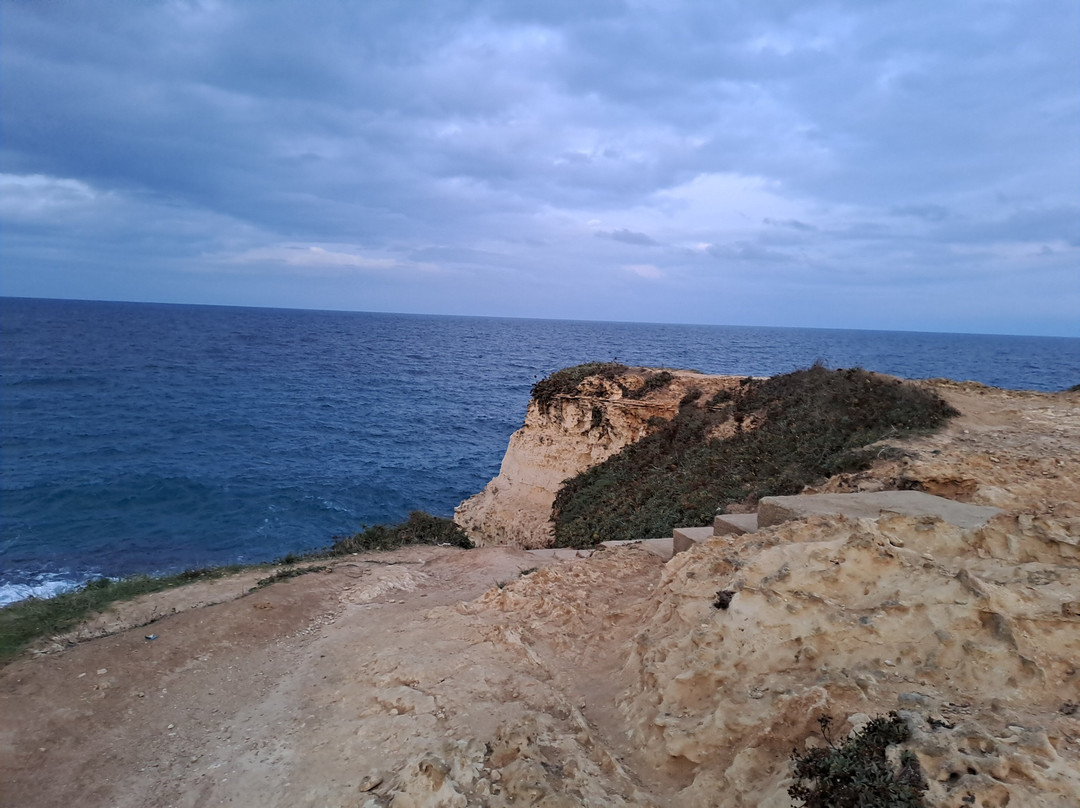 Torre Sant'Andrea景点图片