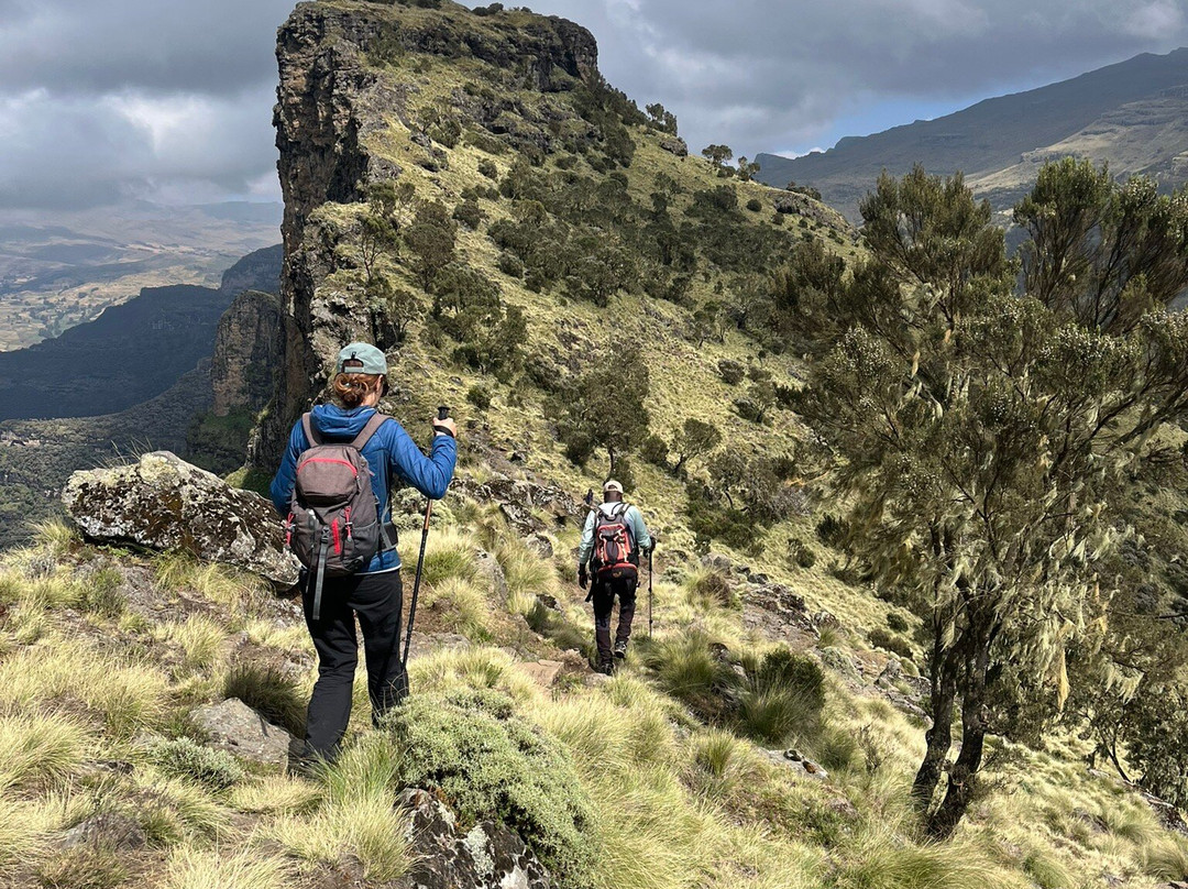Simien Tops Eco-Trek景点图片