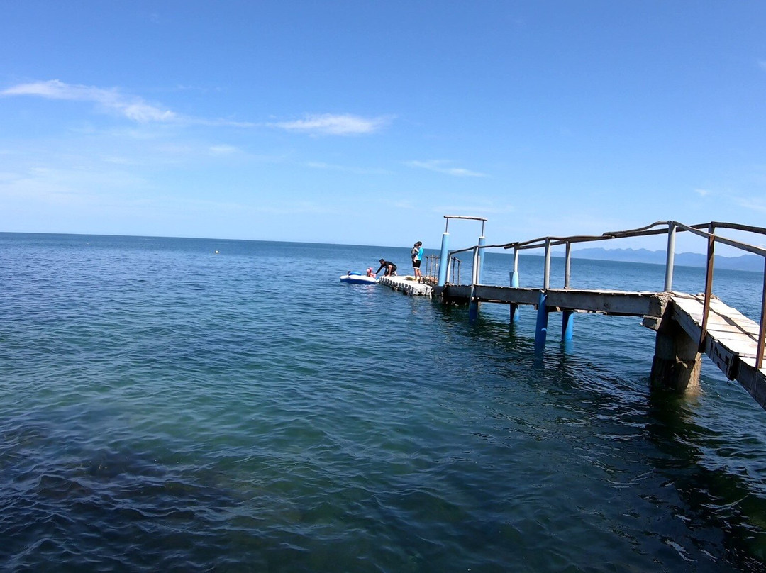 Daltons Banana Guest House主图