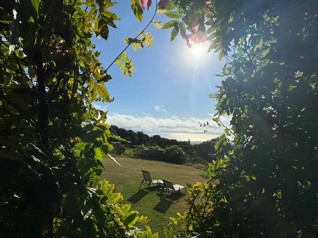 The Curtis Wilson Cost Gallery-库拉必去景点