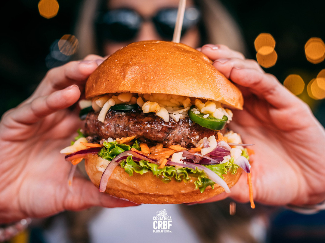 Costa Rica Beer Factory Inc