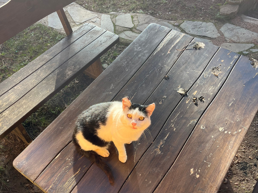 El Xalet de Prades主图