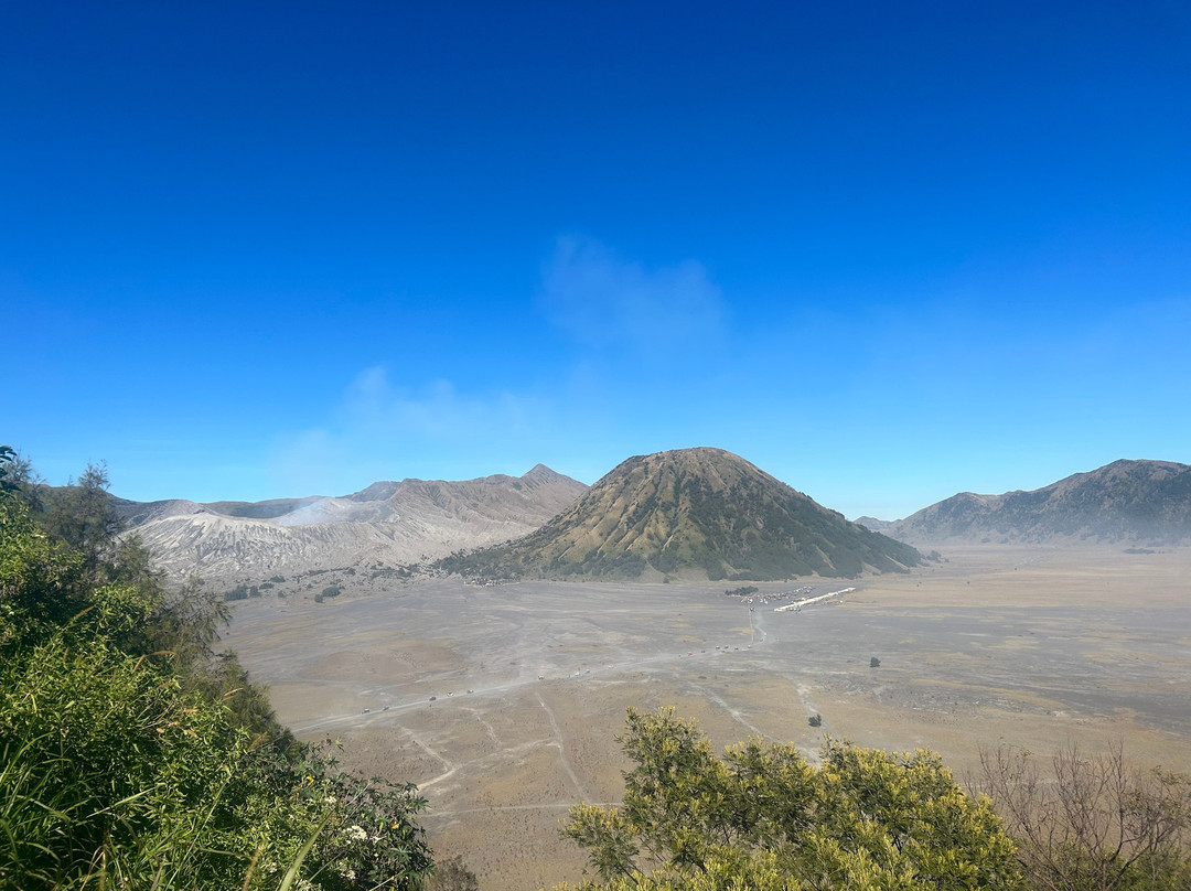 Safarimate Tour-泗水必去景点