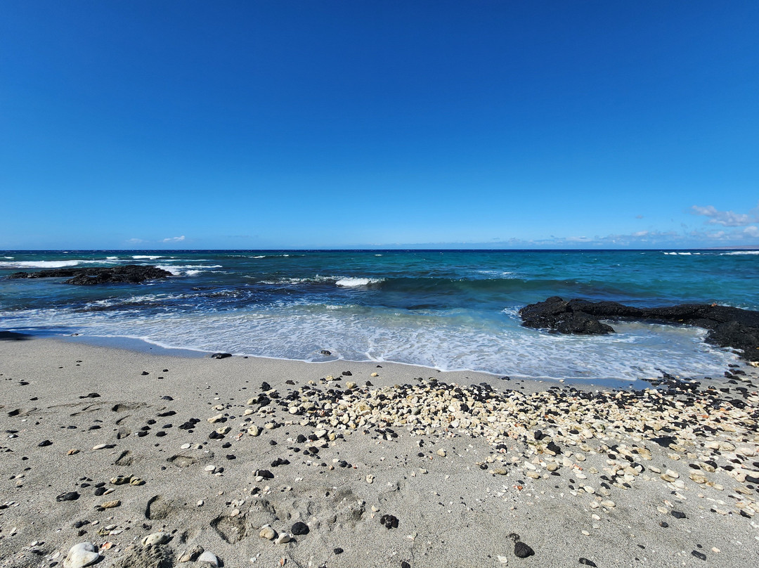 Blue Wilderness Dive Adventures-威可洛亚必去景点