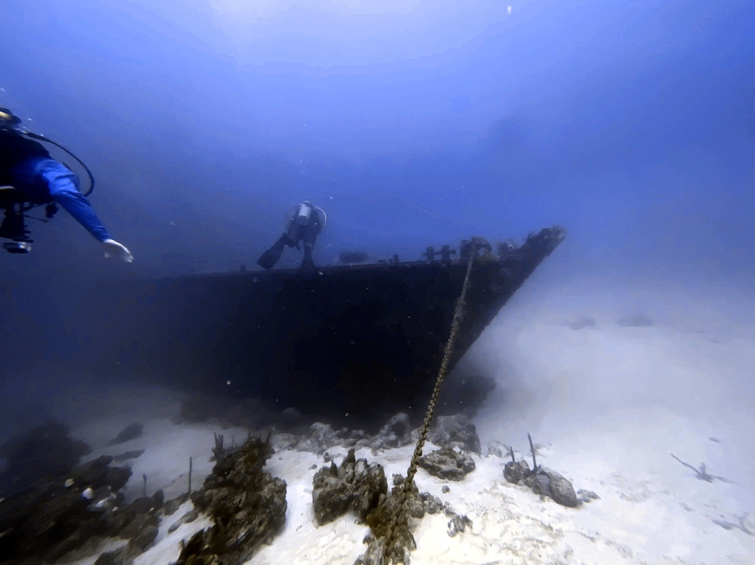 Native Spirit Scuba景点图片