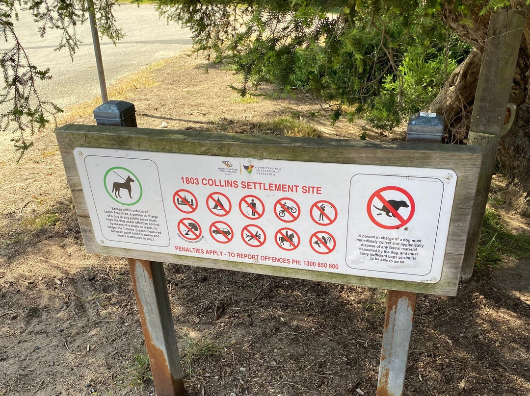 Collins Historic Settlement Site景点图片