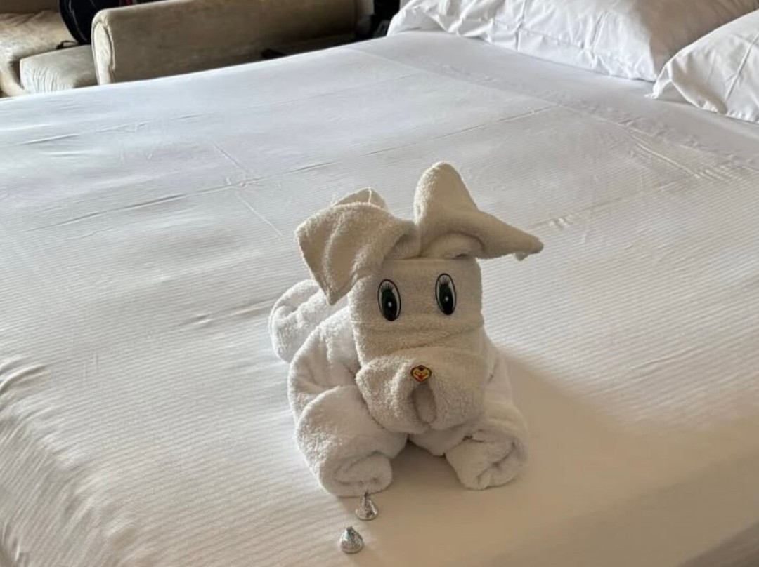 卡波圣卢卡斯悦宜湾奢享酒店主图