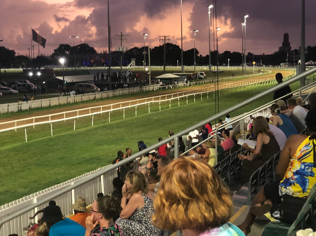 Garrison Savannah - Barbados Turf Club-布里奇顿必去景点