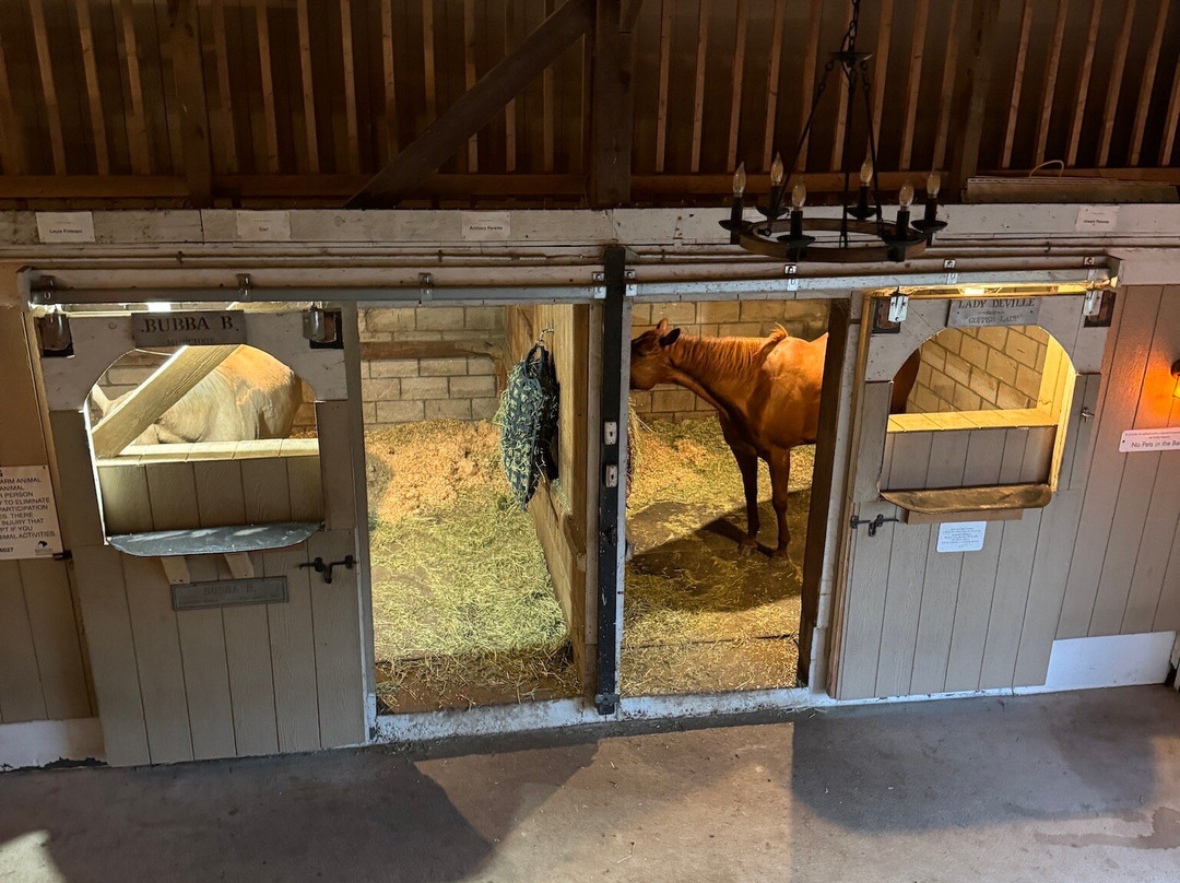 Nicura Ranch Inn & Stables
