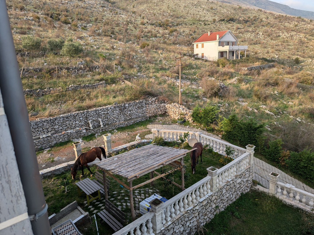 Bella Vista